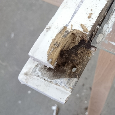 sanierung-fensterfluegel-tischlerei-frohner-berlin-koepenick-fenstertischler-fensterreparatur-03.jpg