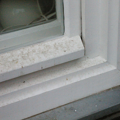 fenstersanierung-aussen-tischlerei-frohner-berlin-koepenick-fenstertischler-fensterreparatur-04.jpg